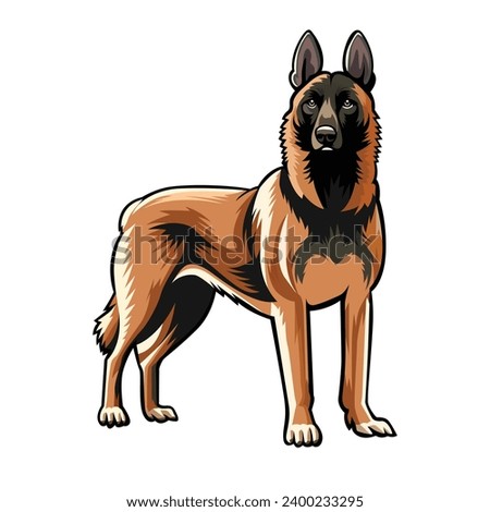 Belgian Malinois vector isolated. This versatile design is ideal for prints, t-shirt, mug, sticker, poster, and many other tasks. Good for any commercial use. Royalty-Free Stock Photo #2400233295