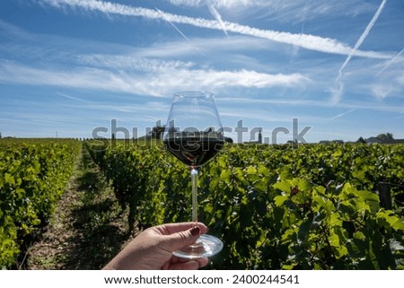 Tasting of red Bordeaux wine, Merlot or Cabernet Sauvignon red wine grapes on cru class vineyards in Pomerol, Saint-Emilion wine making region, France, Bordeaux Royalty-Free Stock Photo #2400244541