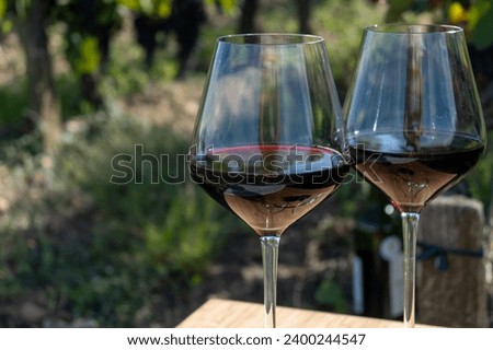 Tasting of red Bordeaux wine, Merlot or Cabernet Sauvignon red wine grapes on cru class vineyards in Pomerol, Saint-Emilion wine making region, France, Bordeaux Royalty-Free Stock Photo #2400244547