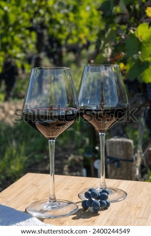 Tasting of red Bordeaux wine, Merlot or Cabernet Sauvignon red wine grapes on cru class vineyards in Pomerol, Saint-Emilion wine making region, France, Bordeaux Royalty-Free Stock Photo #2400244549