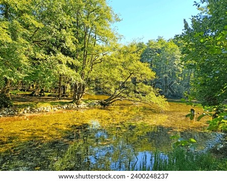Vrelo Bosne,  a public park and a protected Nature Monument established around the source of the Bosna river, featuring the system of numerous springs at the foothills of Mount Igman