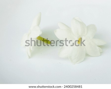 Pure white flowers, smooth, beautiful and lovely.