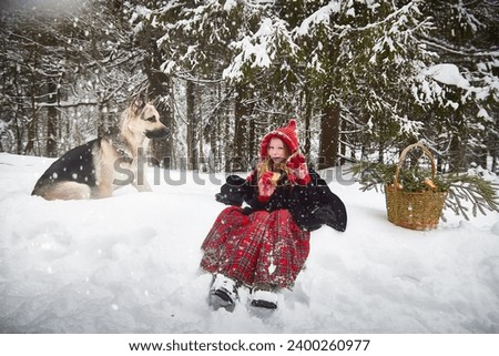 Cute little girl in red cap or hat and black coat with basket of green fir branches treats with a pie of big dog shepherd as wolf in snow forest on cold winter day. Fun and fairytale on photo shoot