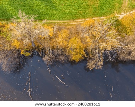 AERIAL forest in amazing autumn shades with road hiding under treetops. Forest treetops with vivid colorful leaves in autumn season. Stunning colour palette of changing leaves in fall season. Lake