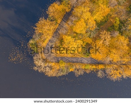 AERIAL forest in amazing autumn shades with road hiding under treetops. Forest treetops with vivid colorful leaves in autumn season. Stunning colour palette of changing leaves in fall season. Lake