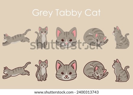 Simple and adorable Grey Tabby Cat illustrations set