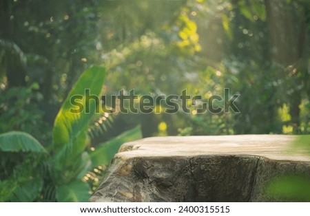 Wood tabletop podium floor in outdoors tropical garden forest blurred green leaf plant nature background.Natural product placement pedestal stand display,jungle paradise concept. Royalty-Free Stock Photo #2400315515