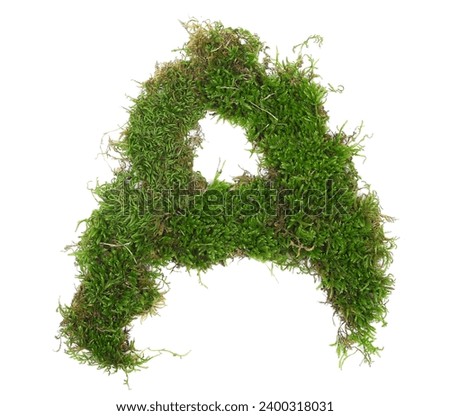Green moss in shape alphabet letter A isolated on white, clipping, top view