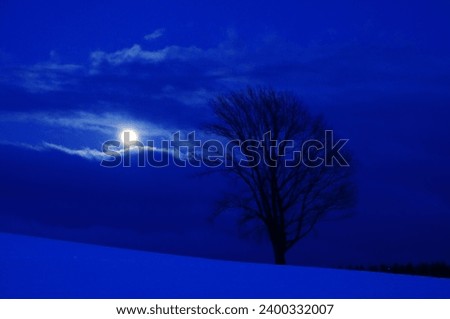 Tree standing in the snow field at night with the moon
 Royalty-Free Stock Photo #2400332007