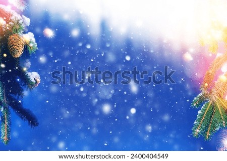 Fir cone. Winter. Beautiful landscape with snow covered fir trees and snowdrifts. Merry Christmas and happy New Year greeting background. Landscape. 