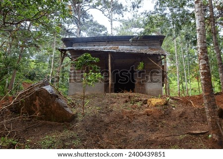 Old abandoned empty  cabin old farmhouse in pine woods in rainy day in Da Lat city, Vietnam