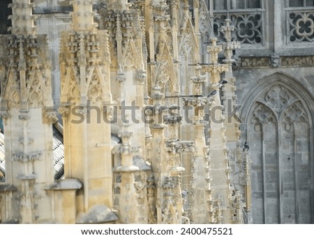Pigeon on a Gothic Cathedral spire 