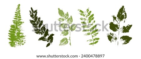 Set of leaf prints.Decorative botanical elements.Vector graphics. Royalty-Free Stock Photo #2400478897