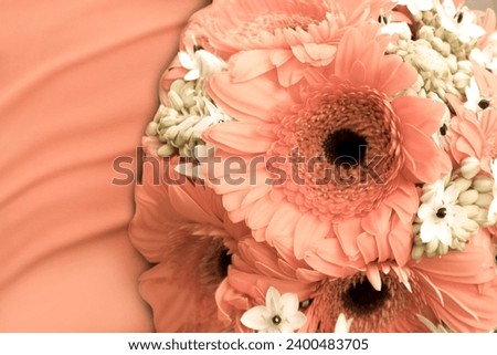 Gerberas in the color peach fuzz or Apricot Crush, shade of peach - the color of the year 2024,pantone,close-up in a bouquet.