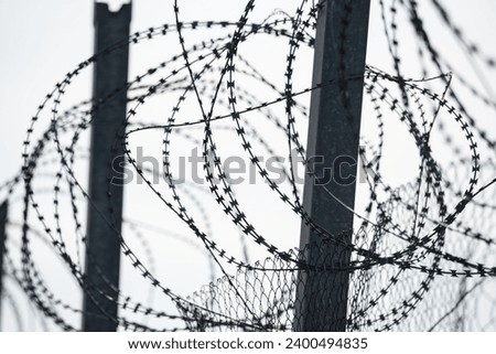Fence with barbed wire, razor wire. Dangerous fence. Intrusion protection. Barbed wire on the border. Royalty-Free Stock Photo #2400494835