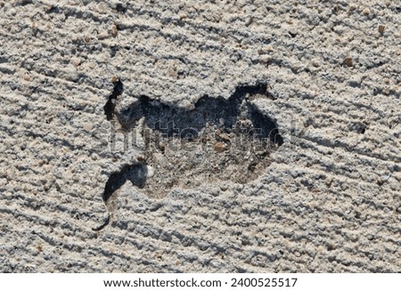 Imprint of a frog that fell into concrete, isolated directly above image with copy space. Unlucky unfortunate accident concept.