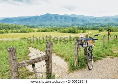 Biking in Great Smoky Mountains National Park. Biking with dog. Bicycling. Wildlife watching. Bike friendy. motor vehicle-free. bicycle riding. Tennessee. Blue Ridge Mountains. Cades Cove Scenic Loop.