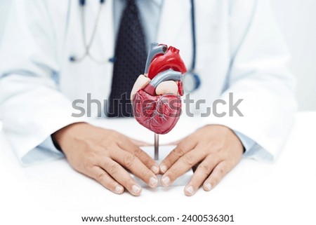 Cardiovascular disease CVD, doctor with heart human model anatomy for treatment patient in hospital. Royalty-Free Stock Photo #2400536301
