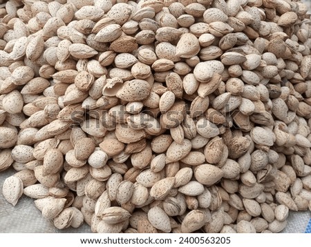 Almond skin healthy nutty texture  superfood almond natural beauty buy almond close-up image.