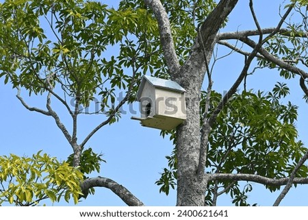 Bird or possum box in a tree