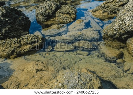 Rock under clear water in sea in Thailand