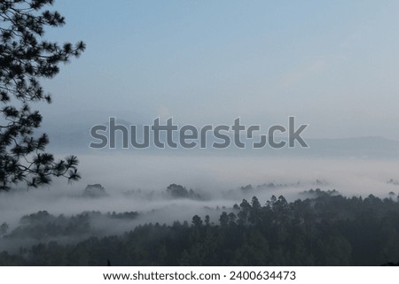 picture of mountain tangkuban perahu bandung in the morning 