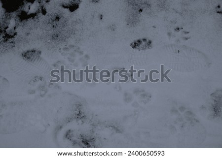 in the snow are traces