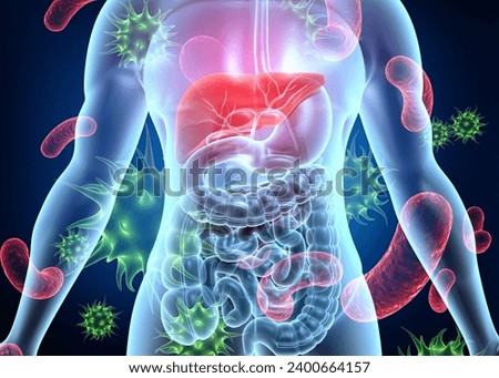 Human digestive system anatomy on virus background. 3d illustration 		