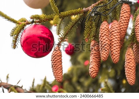 Fir cones on branch with decorative globe, Christmas background
