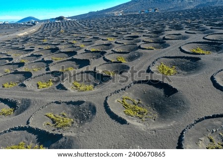 Aerial view of wine growing district of la geria. Tratitional culitvation of vines in a lava field near Timanfaya national park. Lanzarote, Spain, Europe Royalty-Free Stock Photo #2400670865