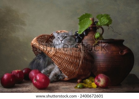 Still life with apples and kitty in the basket 