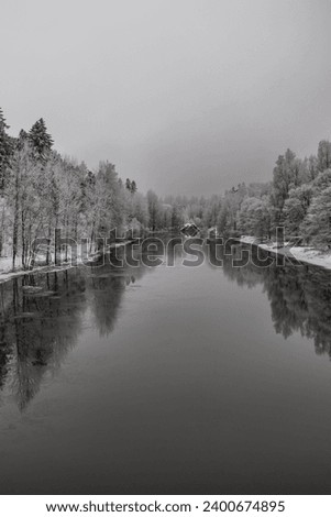 Black and white winter landscape