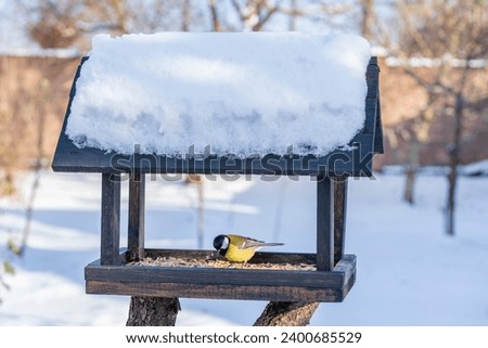 Wooden bird feeder in the form of a house on an winter garden. Behavior of birds at feeder with seeds. There are tits in feeder. Birds at the feeder Royalty-Free Stock Photo #2400685529