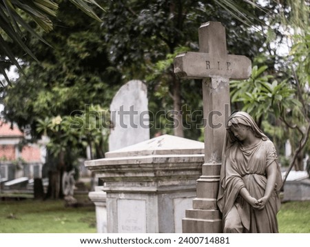 picture of the virgin mary statue crying at the grave