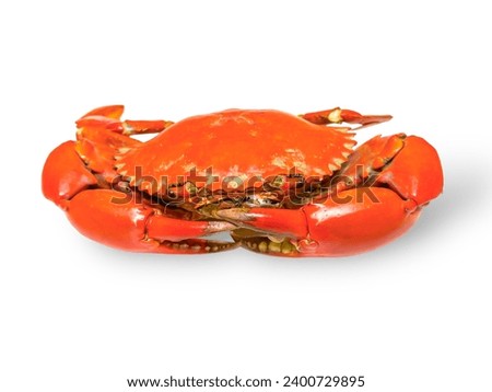 Close up Red crab seafood isolate white background 