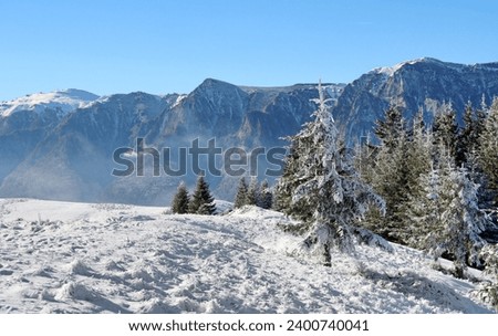 Winter mountain landscape with blue sky. The forest with the trees full of snow. Mountains and deciduous and conifer forests with snow. Winter mountain hike in Bucegi Mountains, Carpathian. Snowing