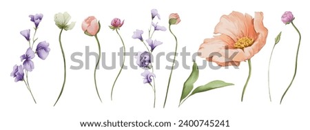 Set of watercolor spring clip art elements. Ranunculus floral burgeons, wildflowers and leaves