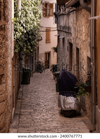 A vertical photo of a narrow street in Rovinj, Croatia, shot during a summer day. Coble stone road and walls of small houses, covered in ivy bushes, and a small Vespa motorcycle parked in between.