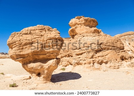 Mushroom rock nor far from White Canyon in Sinai desert. Sinai Peninsula, Egypt. Geological formation and erosion