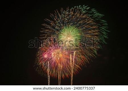 flower-shaped fireworks in the night sky.