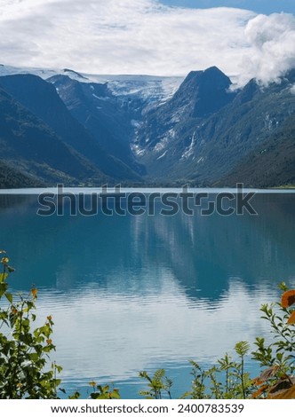 Look to the bushes at the Oldevatnet Lake towards the Briksdal Glacier. Briksdalbre is an offshoot of the Jostedalsbre. You see snow on the Glacier.