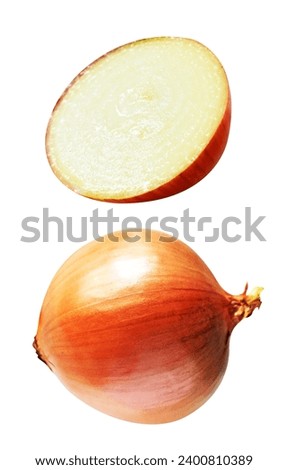 Onion isolated with clipping path, no shadow in white background, healthy vegetables food, cooking ingredient
