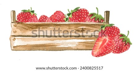Strawberry in the box illustration. Watercolor summer strawberry plant painting. Strawberry harvest concept design. Vitamin berries clipart.