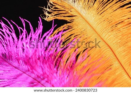 There are the yellow and pink feathers on the black background. It is the photo of the pink and orange feathers. It is close up view of a colorful feathers.