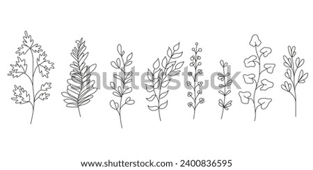 Collection of wild herbs and leaves. Linear vector illustration isolate don white background