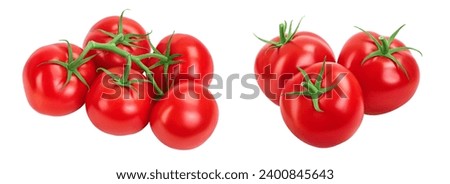Tomato branch isolated on white background  with full depth of field. Royalty-Free Stock Photo #2400845643