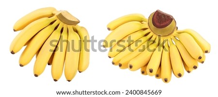 baby banana bunch isolated on white background. Top view. Flat lay Royalty-Free Stock Photo #2400845669