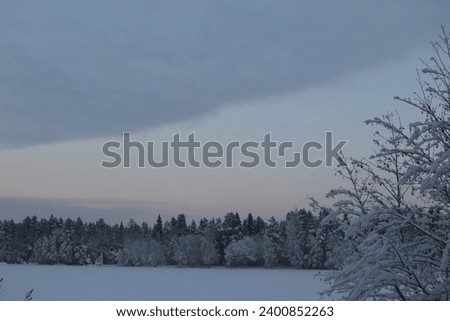 Wnter outdoor pincture low light picture ice and trees