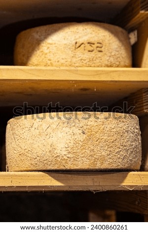 aged cheese cellar cheese organic food production process eating cooking appetizer meal food snack on the table copy space food background rustic top view
