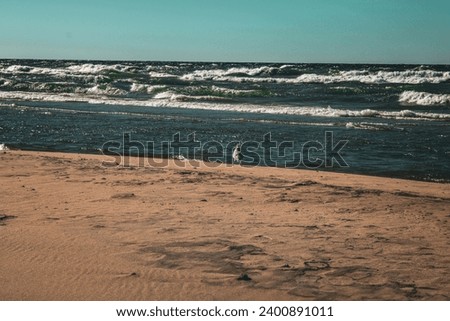 Lake Michigan from the beach at Duck Lake State Park MI Royalty-Free Stock Photo #2400891011